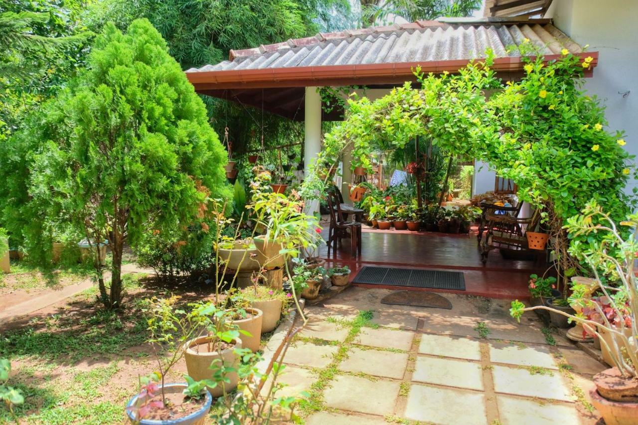 Golden Rainbow Guest House Dambulla Ngoại thất bức ảnh