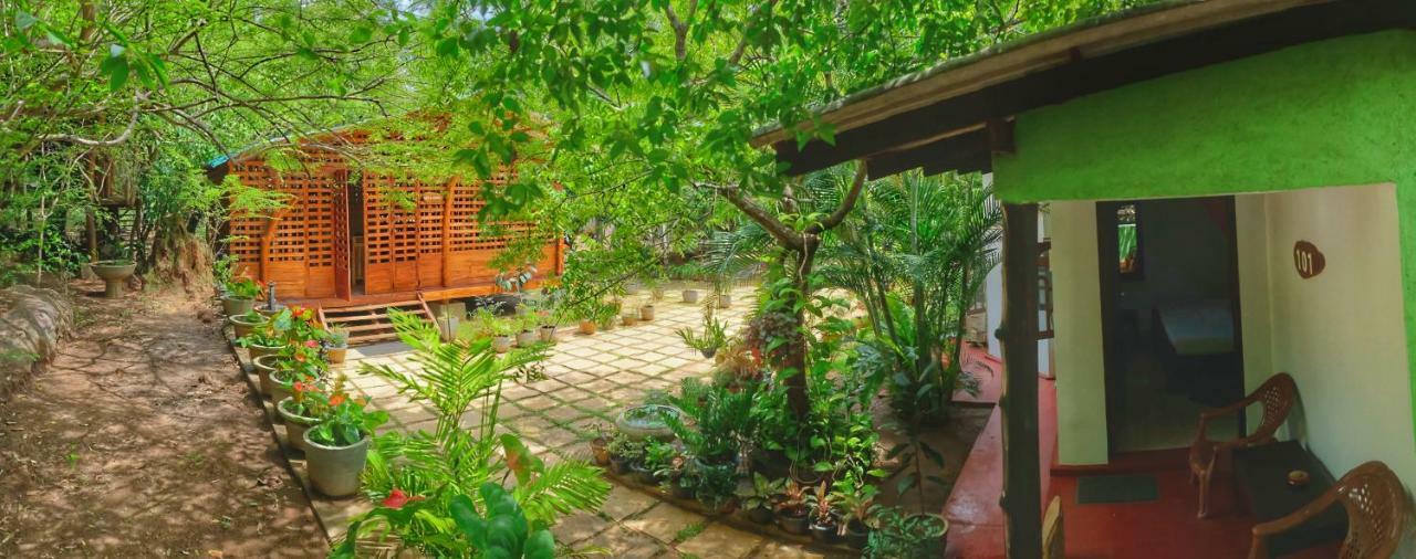 Golden Rainbow Guest House Dambulla Ngoại thất bức ảnh